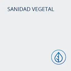 sanidad_vegetal